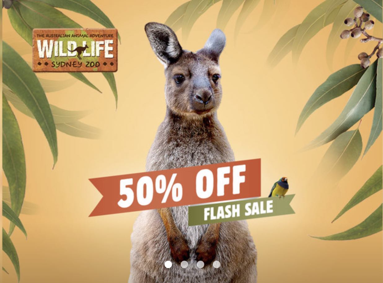 24 HOUR SALE – 50% off Aussie & NZ attractions, one year to use tickets