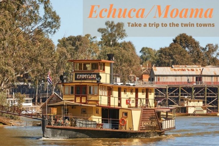 Join+Echuca+Moama+Shave+to+support+local+cancer+patients+%26%238211%3B+Riverine+Herald