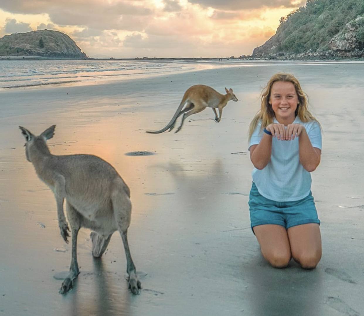 How to see kangaroos at sunrise at Cape Hillsborough, Queensland